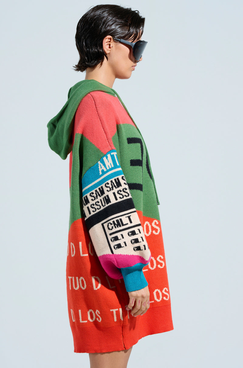 LOUD AND PROUD PULLOVER HOODED SWEATER DRESS