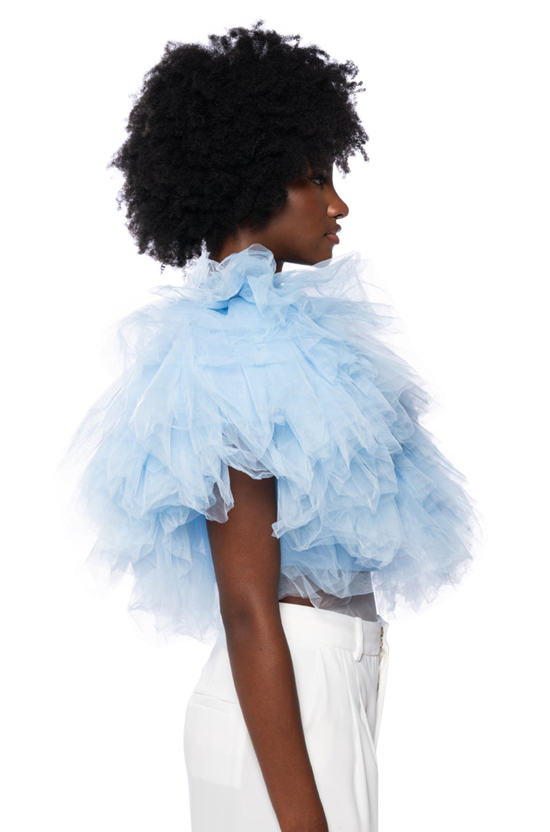 TURNING HEADS TEXTURED TULLE TOP